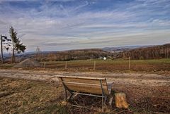 Der Blick vom Waldsofa 