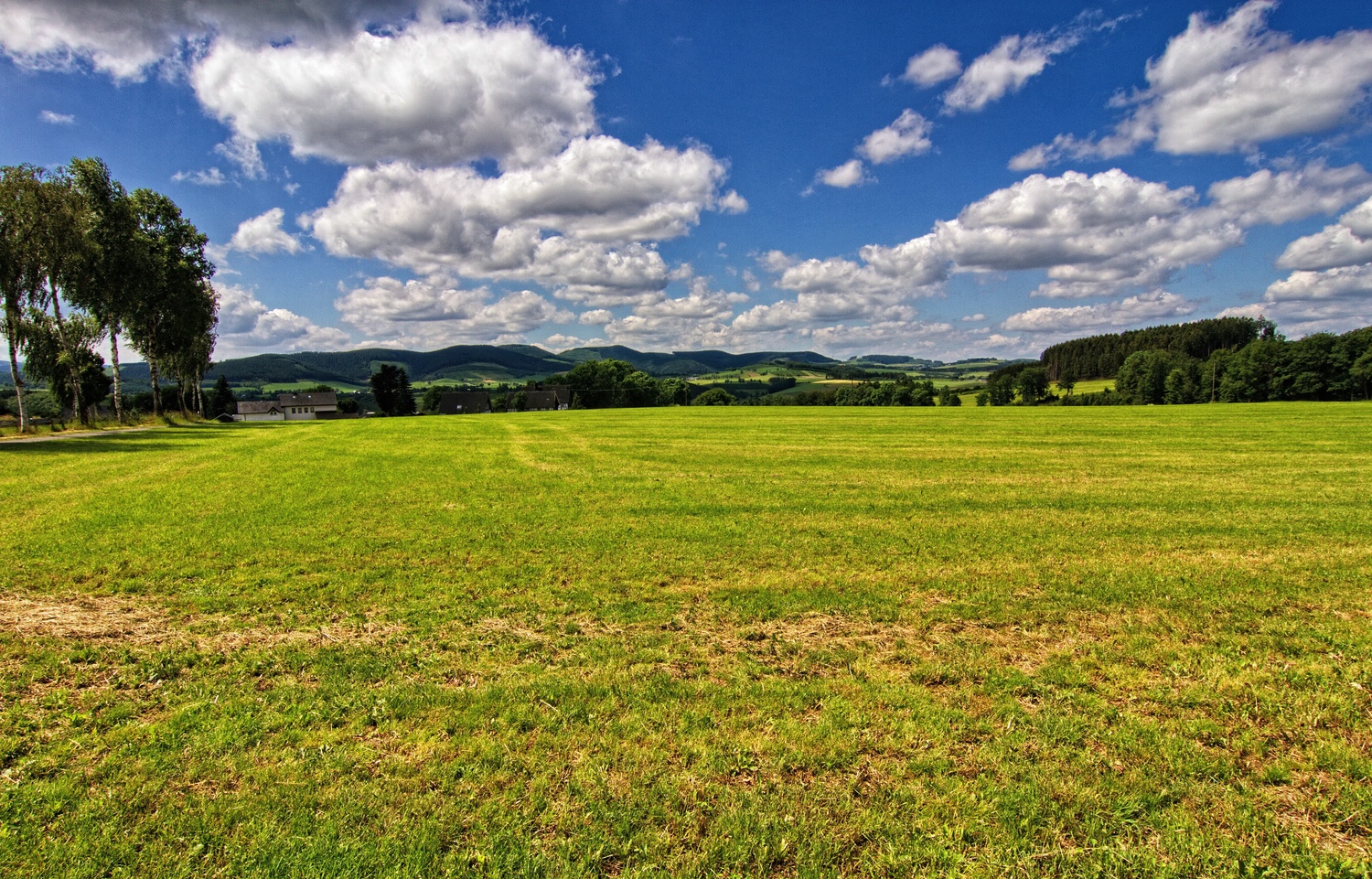 Der Blick von der Bank