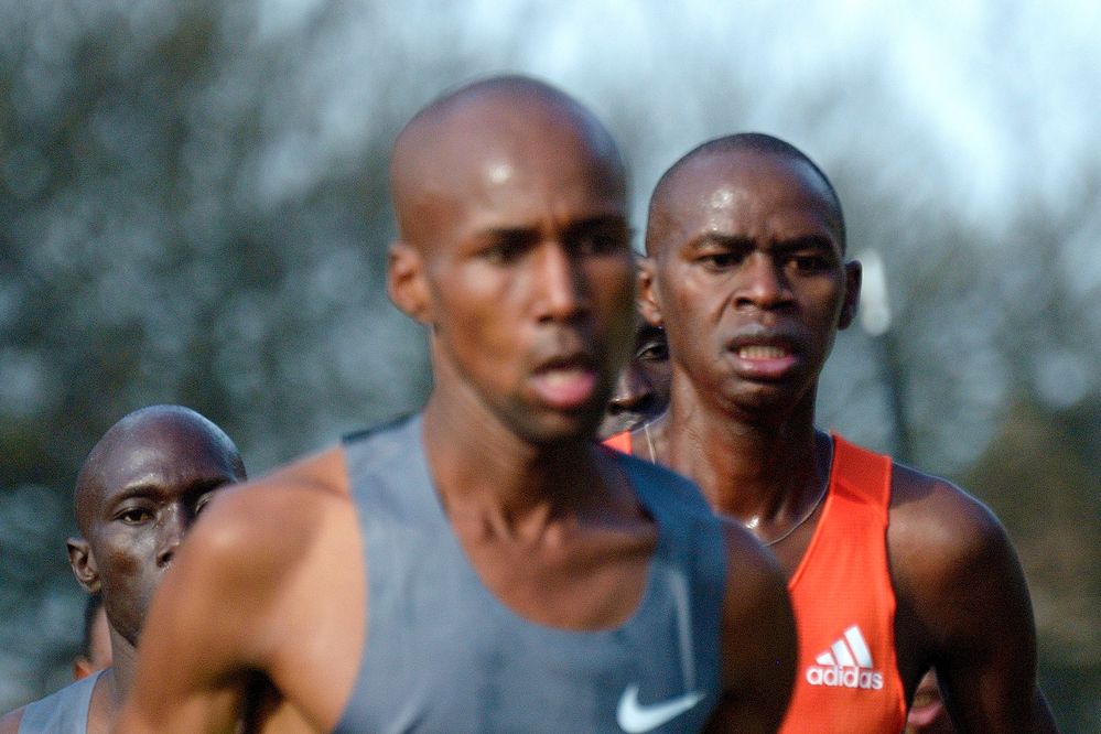 Der Blick von hinten, Marathon HH2012.