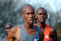 Der Blick von hinten, Marathon HH2012.