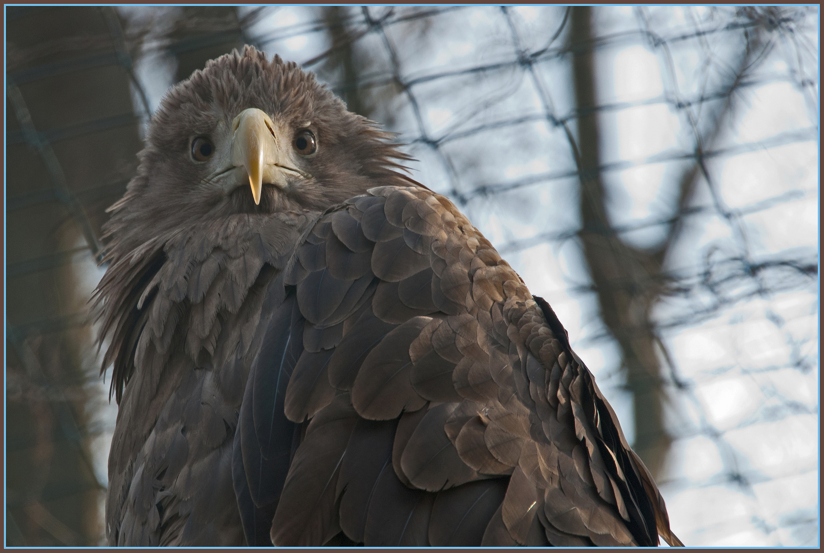 Der Blick von oben ...