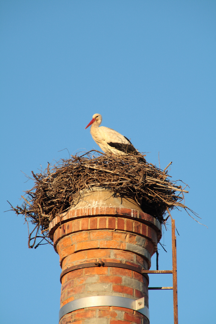 Der Blick von oben