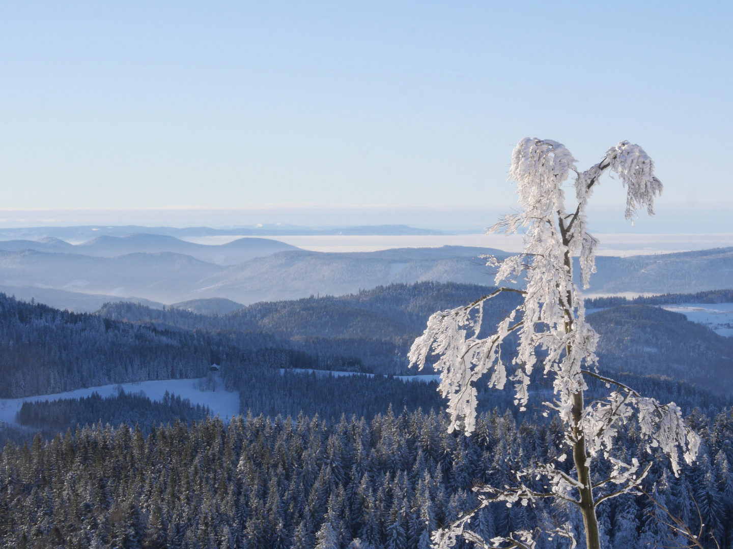 Der Blick von oben