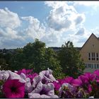 Der Blick von unserem Balkon...