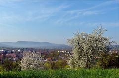 Der Blick zum Albrand