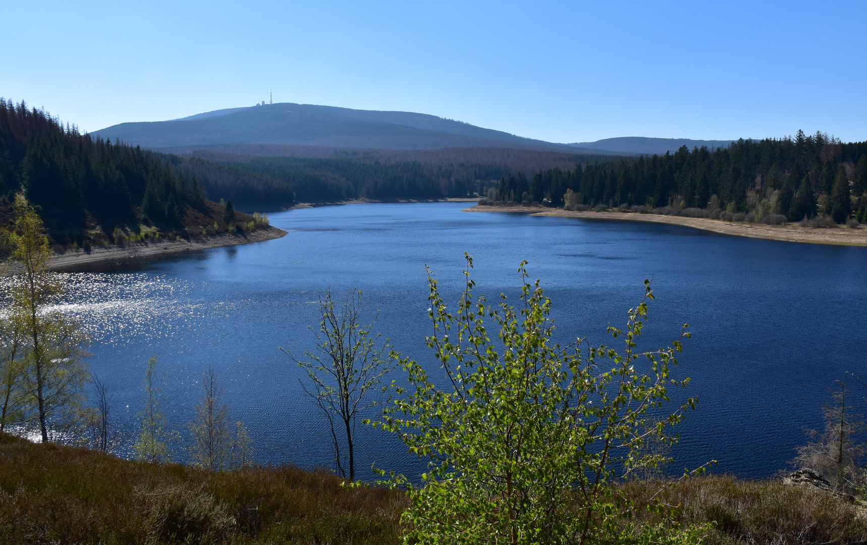 Der Blick zum Brocken 