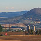 Der Blick zum Lauener Steppenberg Oblik...und die Adonisröschen zu seinen Füßen