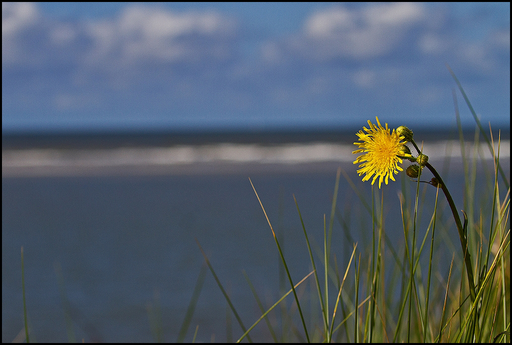 Der Blick zum Meer