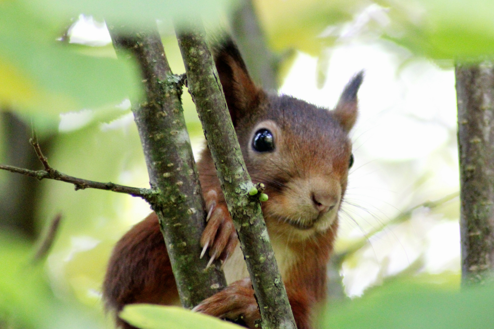 Der Blick zum Wochenende 