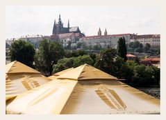 der Blick zur Burg