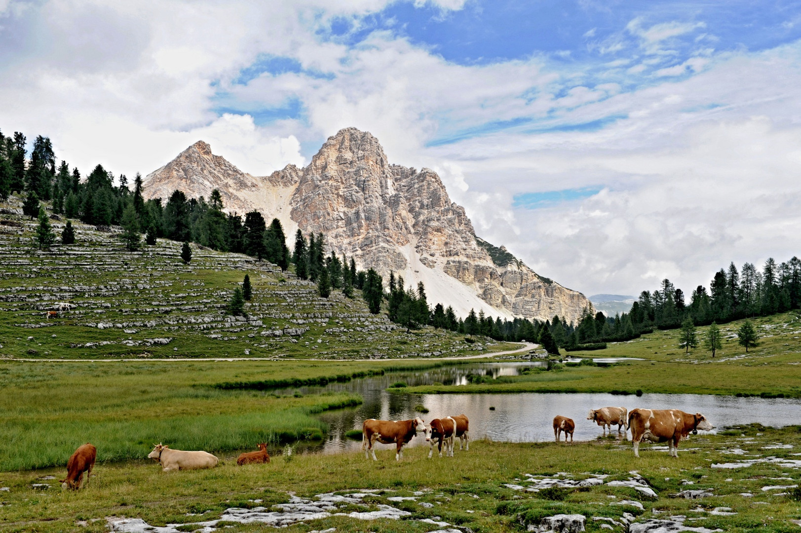 Der Blick zur Eisengabelspitze