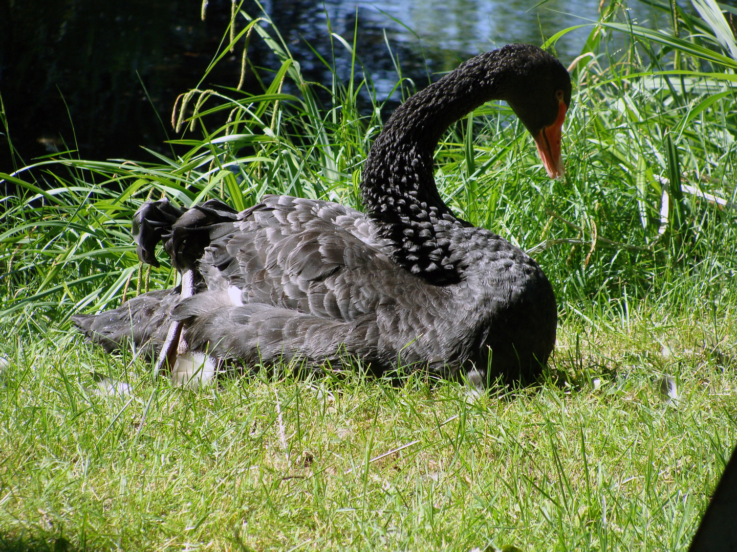 der Blick zur Erde