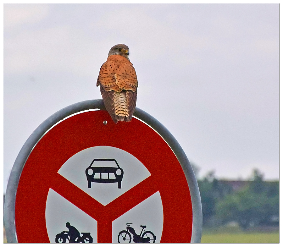 ...der blick zurück...