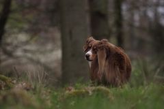 der Blick zurück !