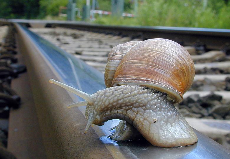 Der Blick zurück