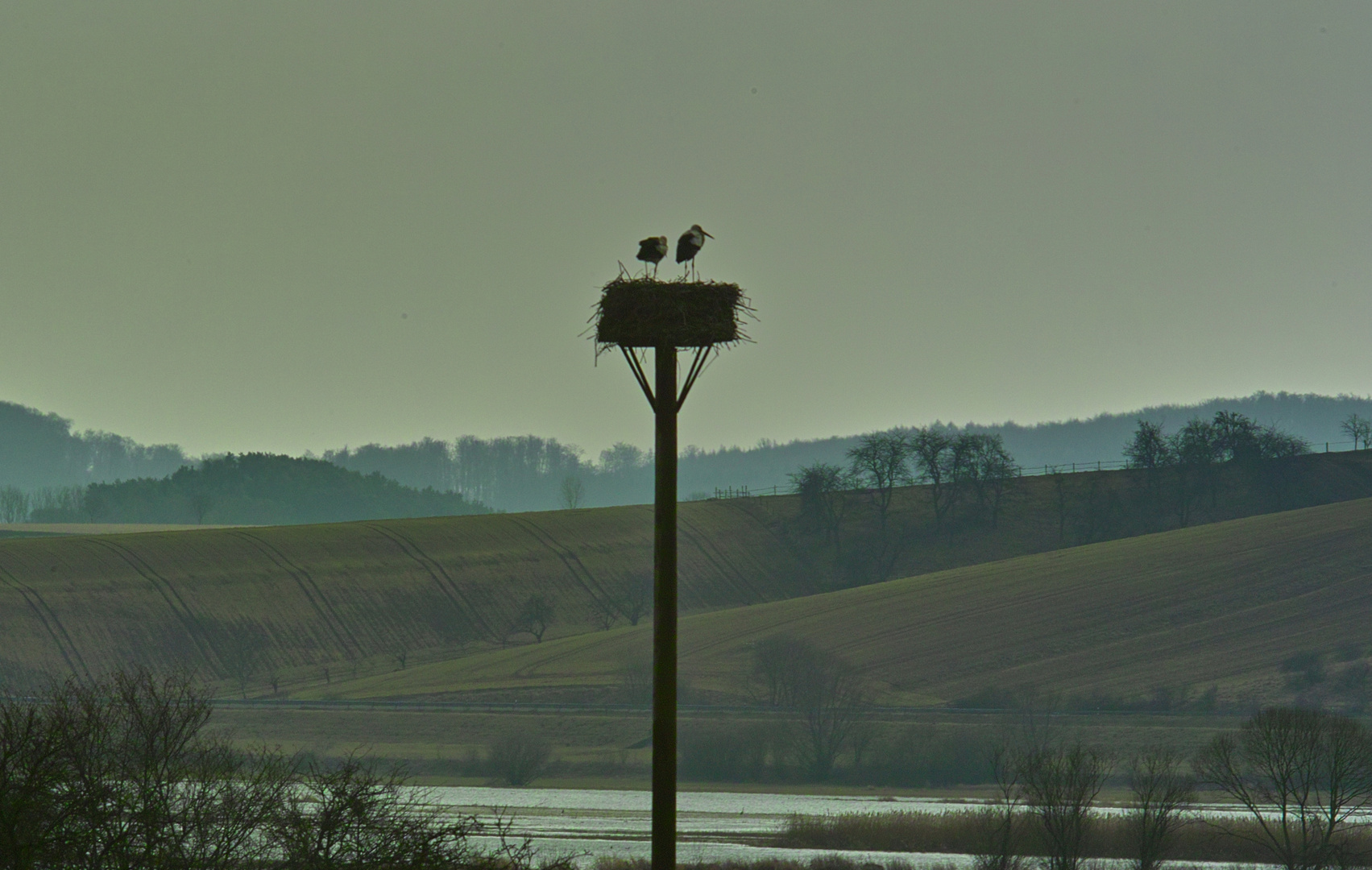 Der Blick zurück auf den Horst der Störche im Rückhaltebecken bei Salzderhelden / Einbeck.