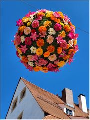 Der blühende Planet...