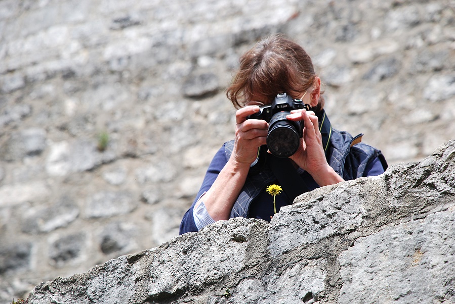 der Blümchenfotograf...