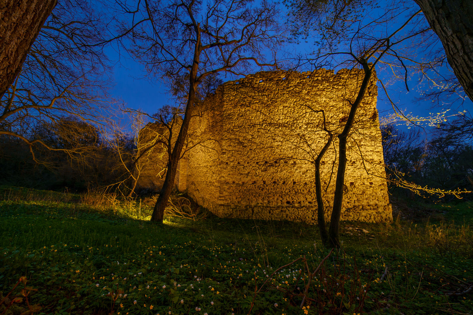 Der Blümchengarten an der Domburg