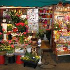 Der Blumenladen am Strassenrand ...