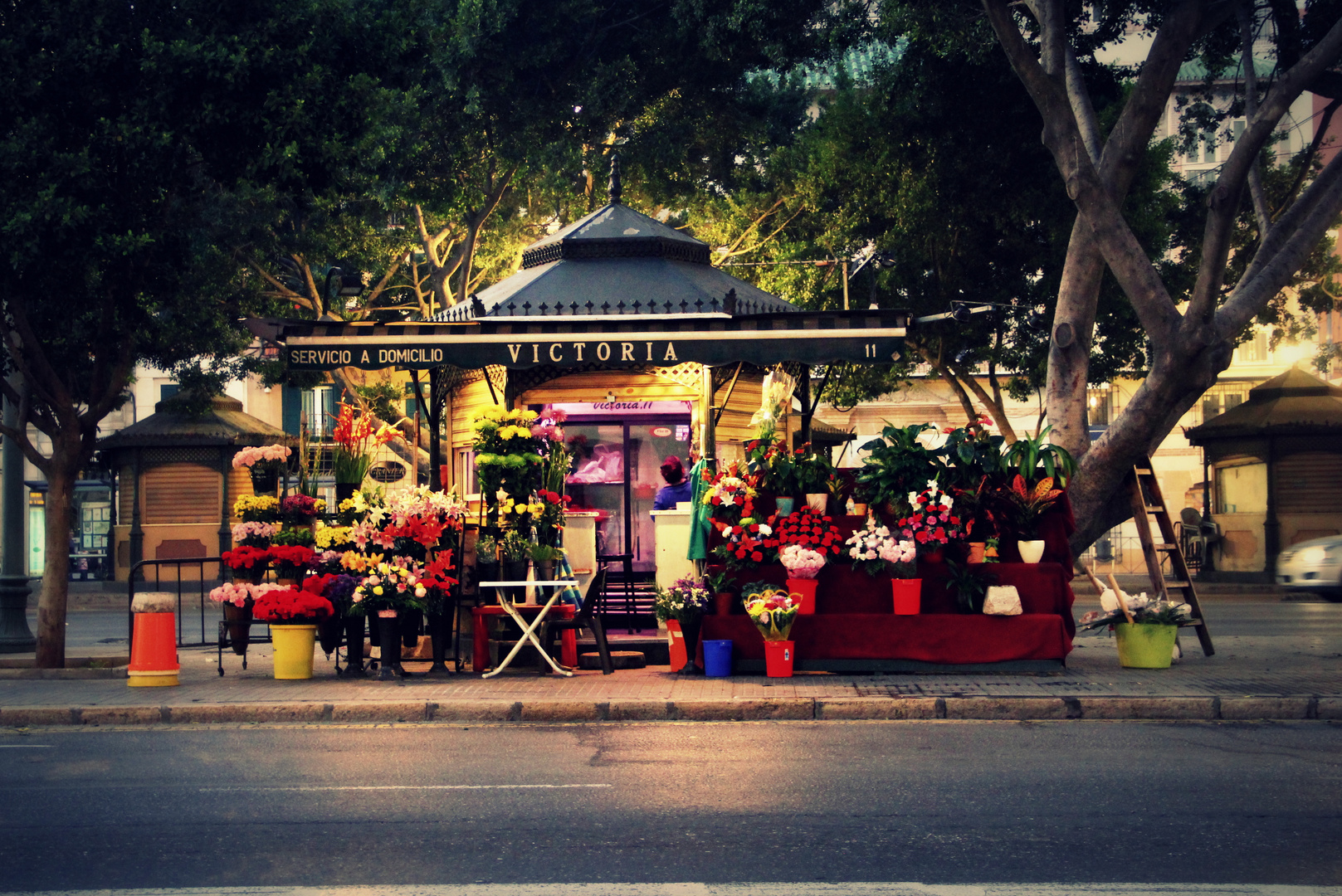 Der Blumenstand