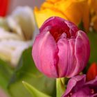 Der Blumenstrauss mit Tulpen und Rosen