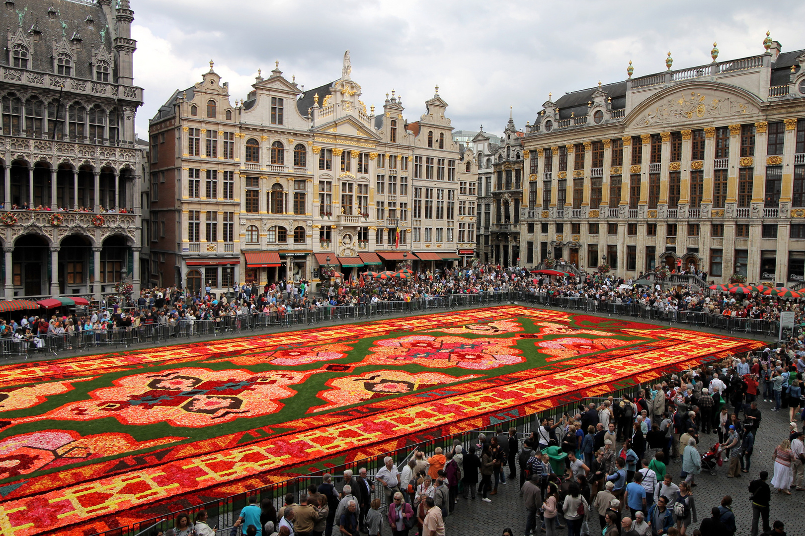 Der Blumenteppich auf dem Grand Place