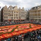 Der Blumenteppich auf dem Grand Place