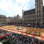 der Blumenteppich auf dem Grande Place