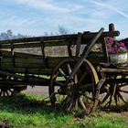 Der Blumenwagen