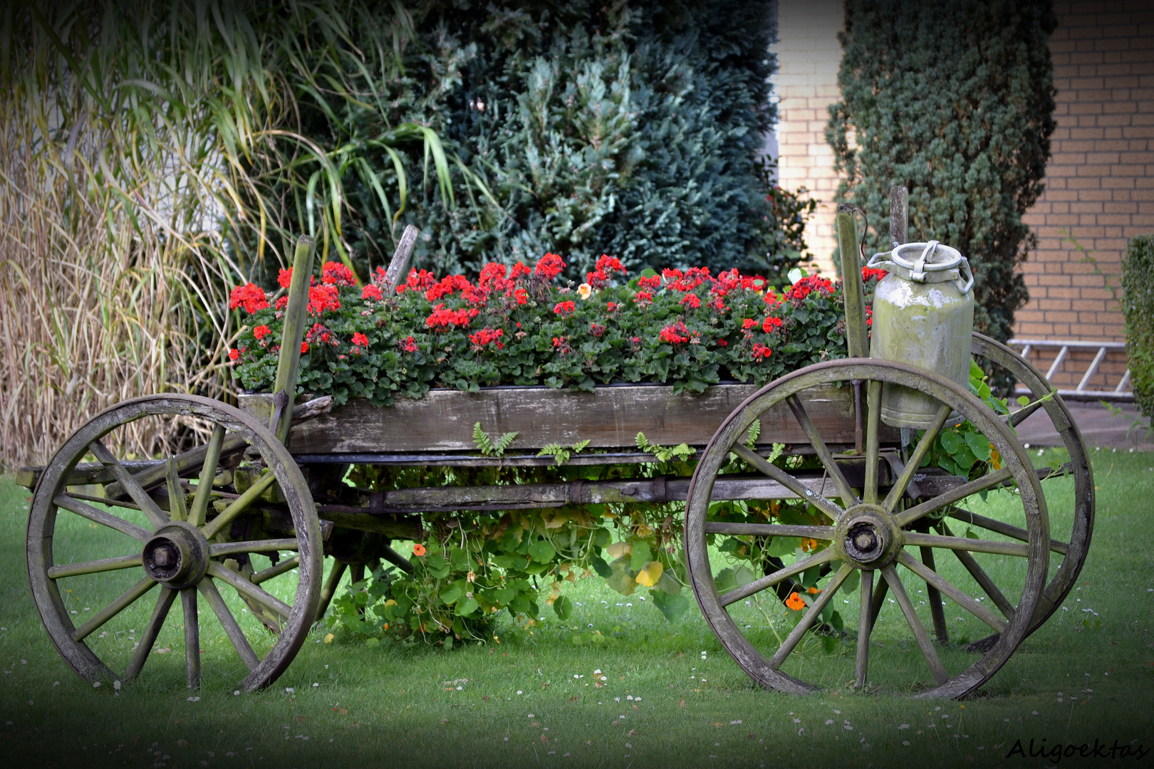 Der Blumenwagen !