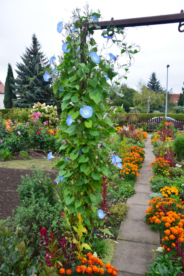 der Blumenweg