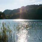 Der blutende See(Alatsee) Aber er blutet ganz selten