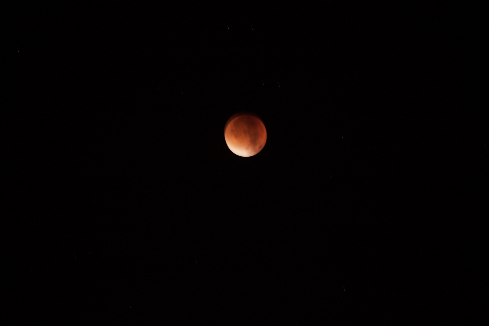 Der Blutmond in Magdeburg um 4.30 Uhr