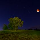 "Der Blutmond" - Seltenes Spektakel am Nachthimmel