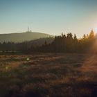 Der Bocken im Angesicht der Sonne