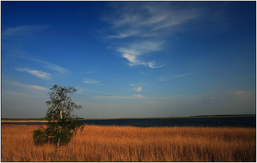 Der Bodden am frühen Abend