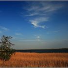 Der Bodden am frühen Abend