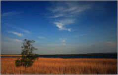 Der Bodden am frühen Abend