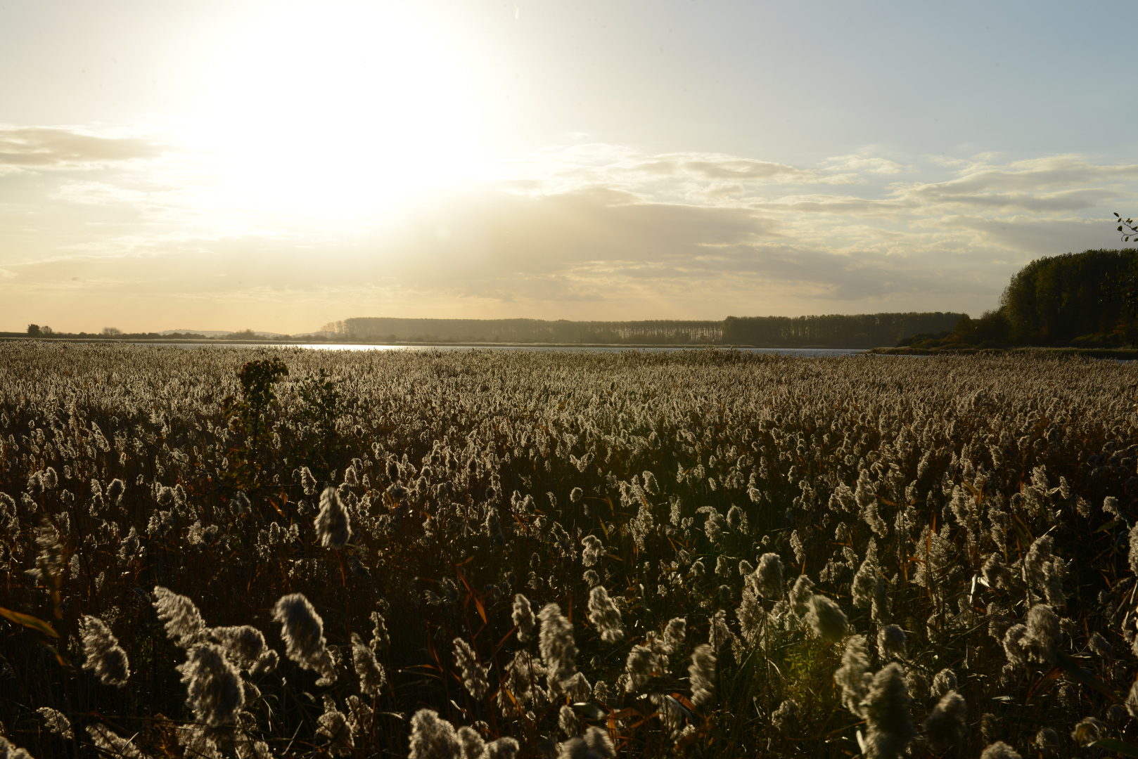 Der Bodden auf Rügen