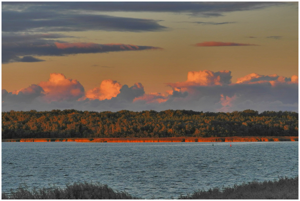 Der Bodden im Abendlicht . . .