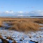 Der Bodden im Winter III