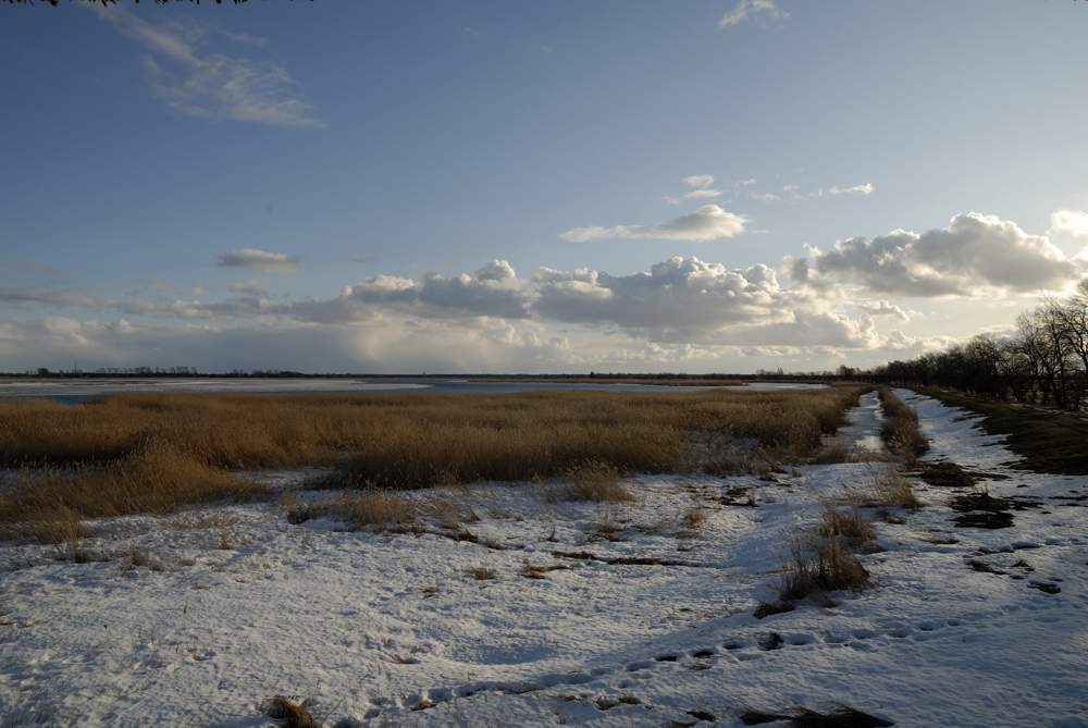 Der Bodden im Winter IV