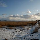 Der Bodden im Winter IV