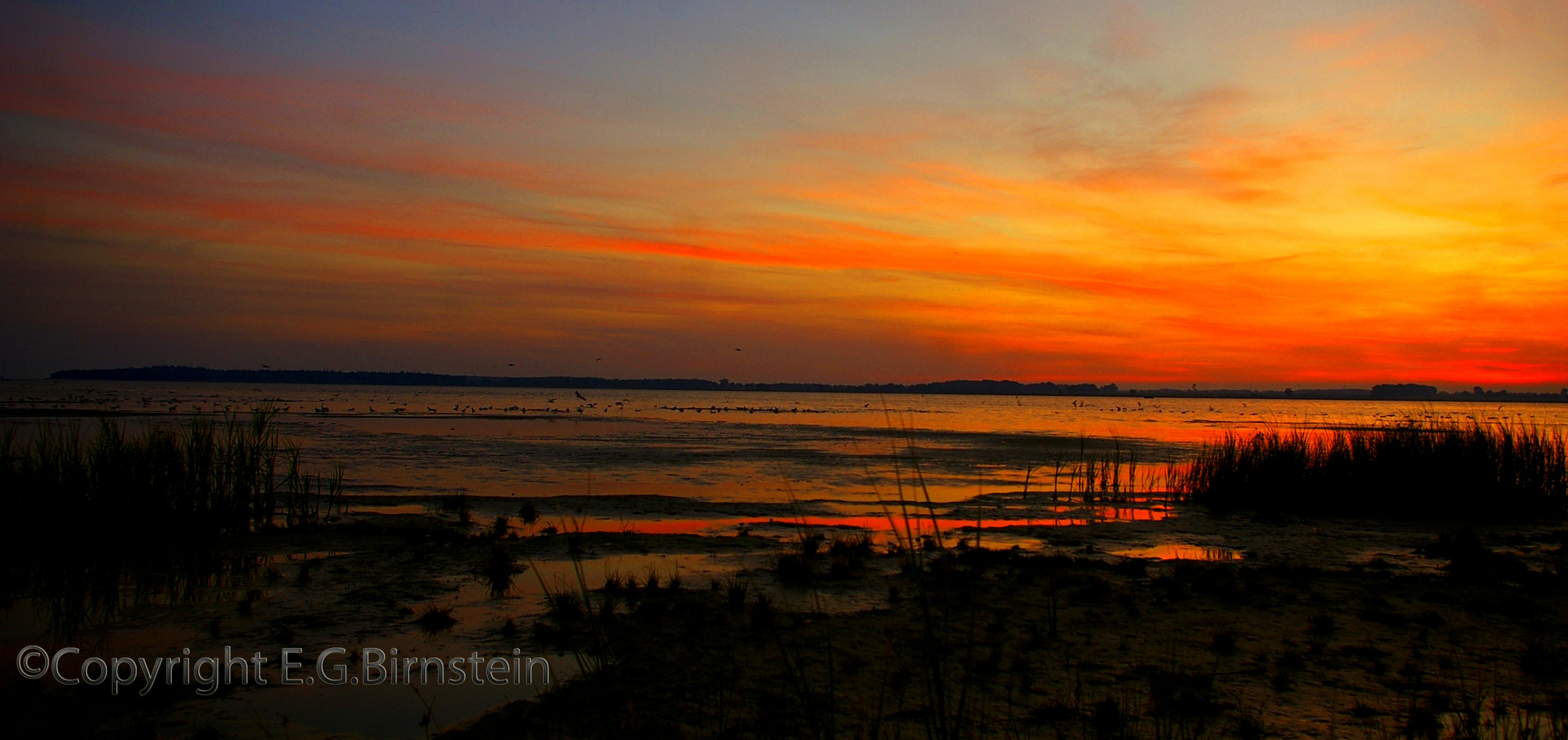 Der Bodden wacht auf