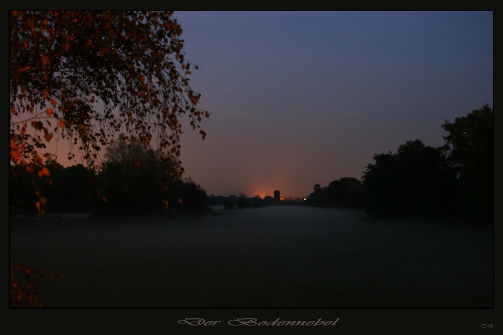 Der Bodennebel