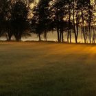 Der Bodennebel breitet sich langsam aus, die letzten Sonnenstrahlen bringen...