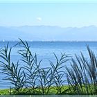 "Der Bodensee"