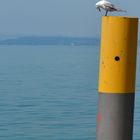 Der Bodensee