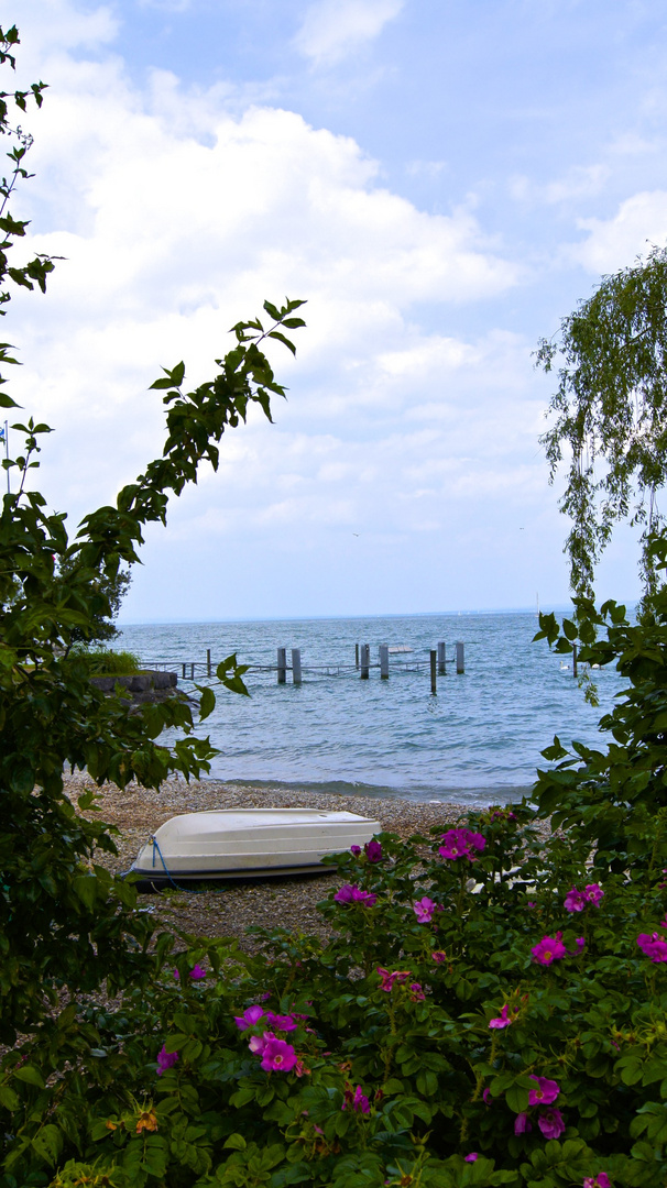 Der Bodensee